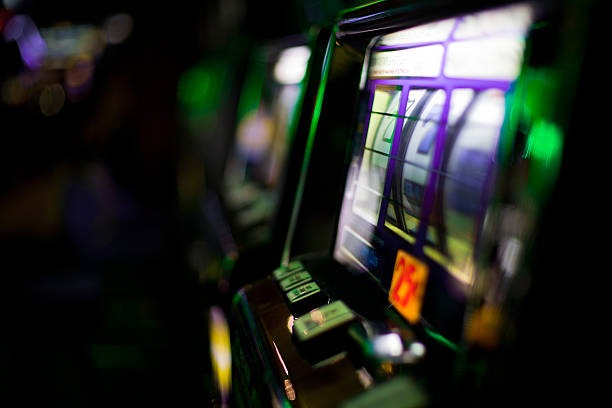 Live casino and sportsbook interface on koitoto link platform